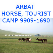 arbathorsecampmongolia